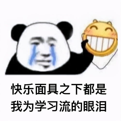 自考本科有用吗自学考试通过率高吗