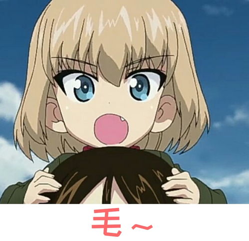 表情包51th