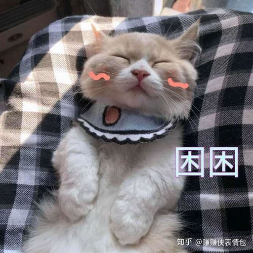 小可爱图片表情包小可爱