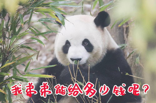 滚滚滚表情包图片滚滚