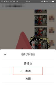 重磅微信又更新了,桐庐人表情包斗图再也不用左右滑了