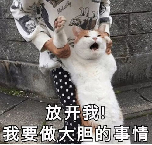 放假啦给你一份假期生活攻略