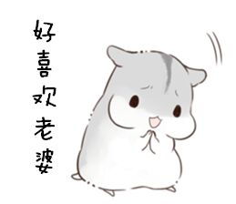 参见老婆大人表情包合集