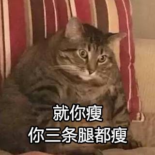 变胖后的生活有点烦,但是你要敢嘲笑我,看我不怼死你