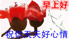 最新版早安短信问候祝福语大全最美早晨好问候表情图片带字温馨