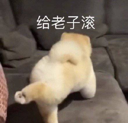 沙雕表情包l等个大佬一起打游戏