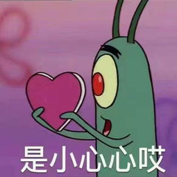 兔hh的美拍