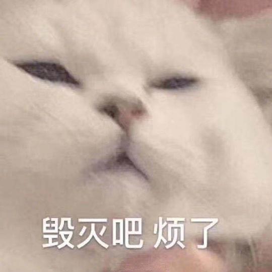 面对疾风吧表情包图片只缘