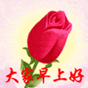 2018最新版早安问候动态表情图片最美早上好动态图片带字