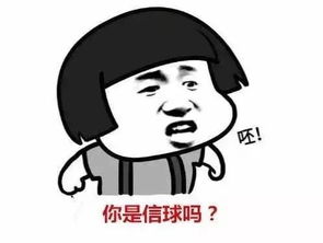 收藏洛阳人定制版表情包来啦看不懂的请自动退出洛阳