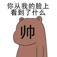 呆萌的熊宝宝qq表情系列图片