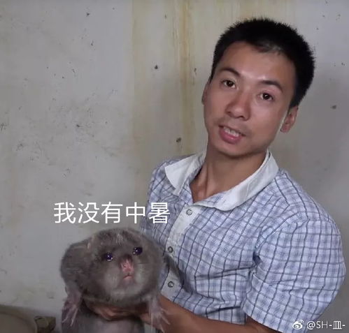 这年头,借钱的和要账的都这么虚伪