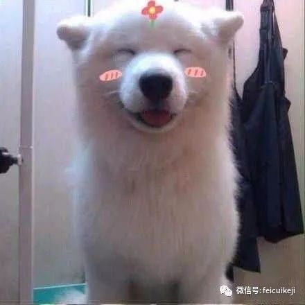 笑容感人被奖励10个月工资,我苦逼学习成就自我
