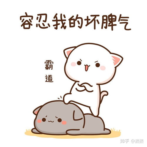 微信表情包进化史以四毛一二蜜桃猫为例