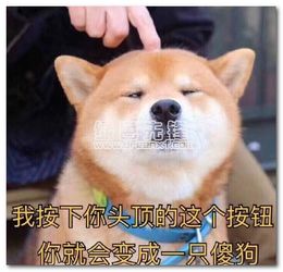 我按下你头顶的这个按钮表情包我按下你头顶的这个按钮qq表情大全中文版软件下载