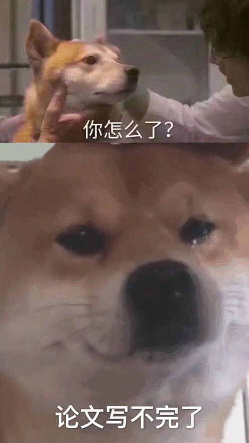 收红包表情包太客气了猝不及防