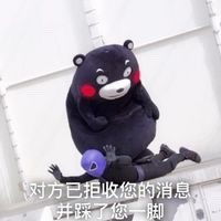 熊本熊拒收消息恶搞表情包下载拒收消息熊本熊表情包高清无水印极光下载站