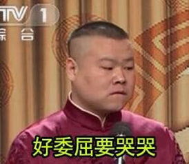 岳云鹏,青年相声演员,2015春晚,微信表情堆糖,美好生活研究所