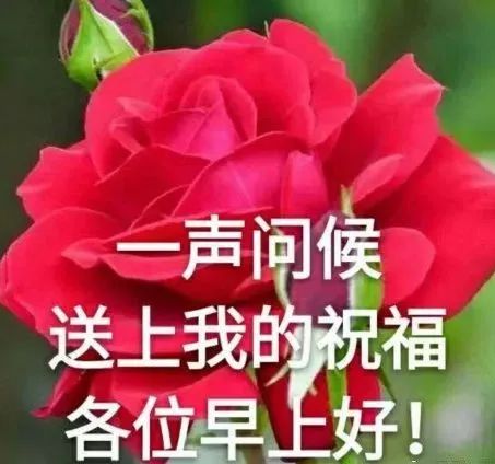 2021早上好暖心阳光句子,最美早上好温馨祝福表情图片