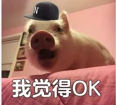 演员探秘相亲2的幕后故事ep3