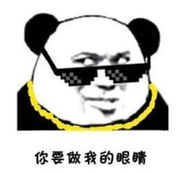 舍得玩酒节social海报,我的膝盖拿走不谢