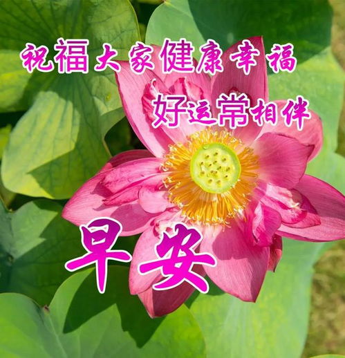 2023最新早上好图片大全独一无二的早上好图片