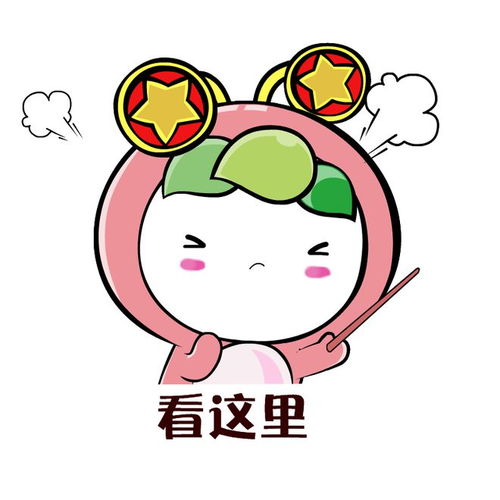 中国青年报报道我市青年人才工作