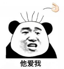 熊猫头拔头发表情包他不爱我他爱我