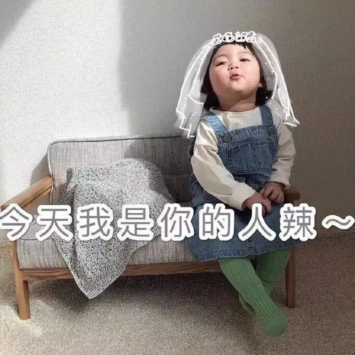 表情包撩汉专用要不要做我男朋友