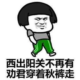 穿秋裤表情包和段子