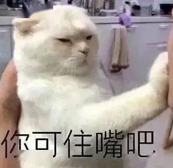 沙雕表情包需要服务吗先生