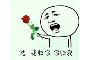 追妹子表情包表情