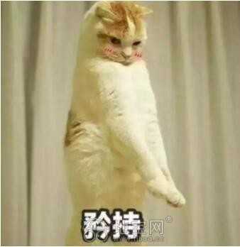 宝宝劣质服装黑名单,这些毒衣服一件也别给孩子买了