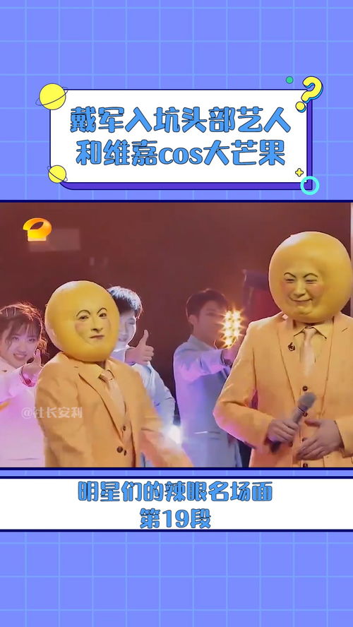 维嘉回应表情包串儿
