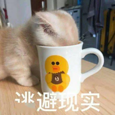 聊天必备表情包表情包