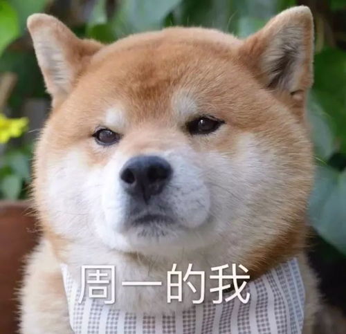 每天的我