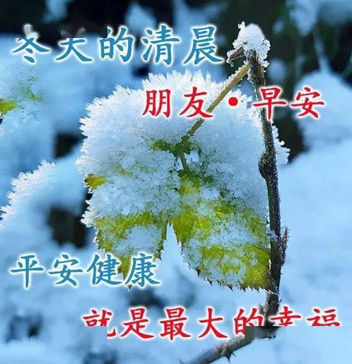 冬天可爱的早上好表情图片,天寒地冻牵挂始终,注意保暖平安是福