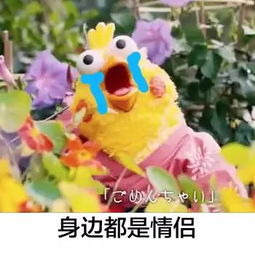 单身不可怕,没事多出去走走