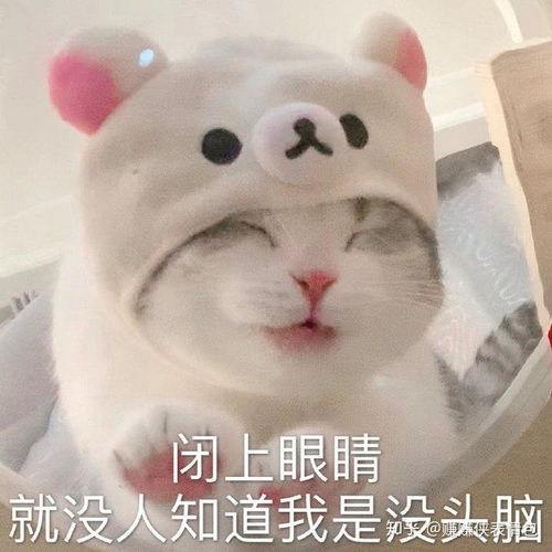 微信贴图表情包朋友圈