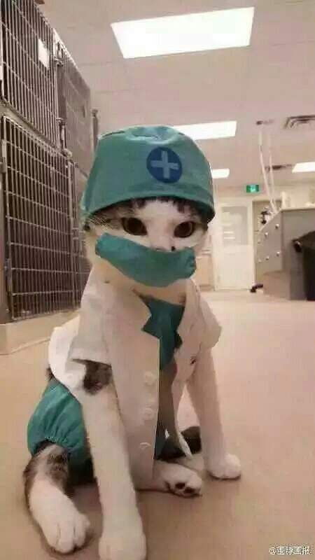 喜欢一个人的感觉