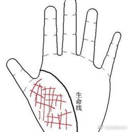 长寿之人的手相,一辈子福大命大,不会有大灾大病