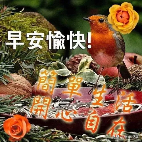 成功的人生,要用兴趣去追求,用苦难去磨砺,用爱去生活,早安