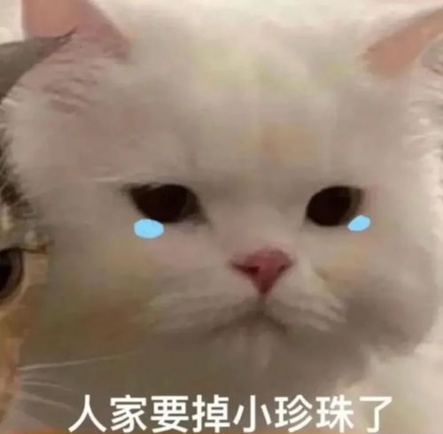 真哭了表情包我哭了