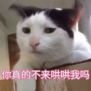 哈喽小姐姐表情包我想