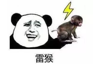 揭棺而起全套表情包好记
