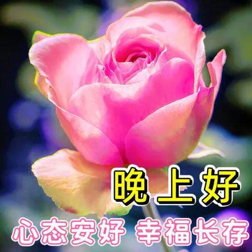 晚安图片,晚上好表情包,祝福望你好梦