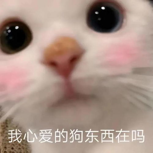 幽默搞笑表情包宝贝,你这是在玩火