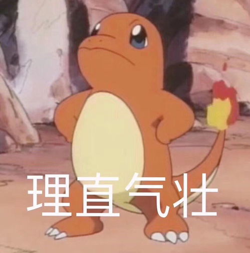轻轻松松赚大钱表情包花熊