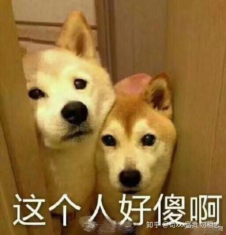 表情包心情极差舔狗
