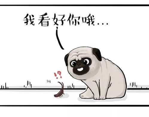 看不惯干不掉表情包射手座每日运势